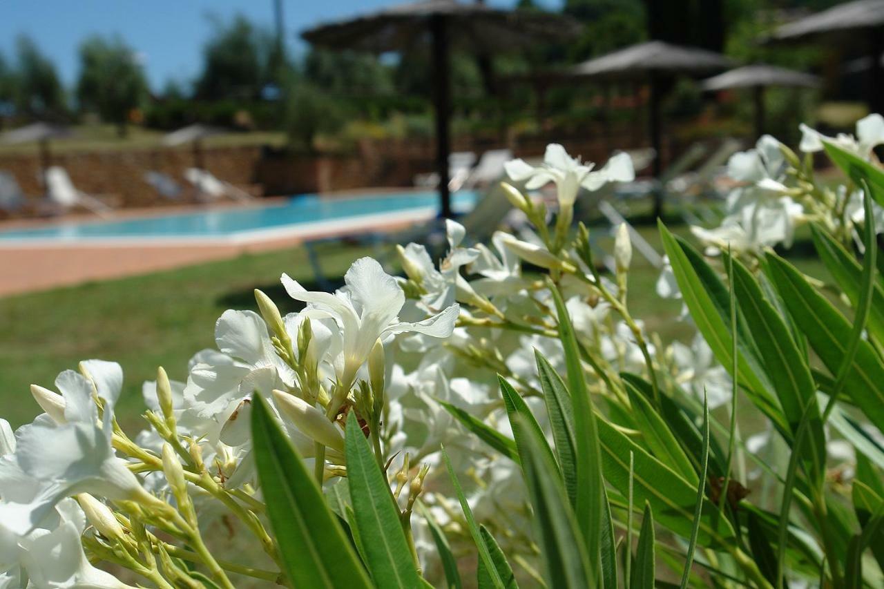 Pie Di Costa Daire Montaione Dış mekan fotoğraf