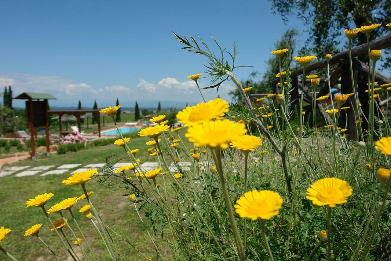 Pie Di Costa Daire Montaione Dış mekan fotoğraf